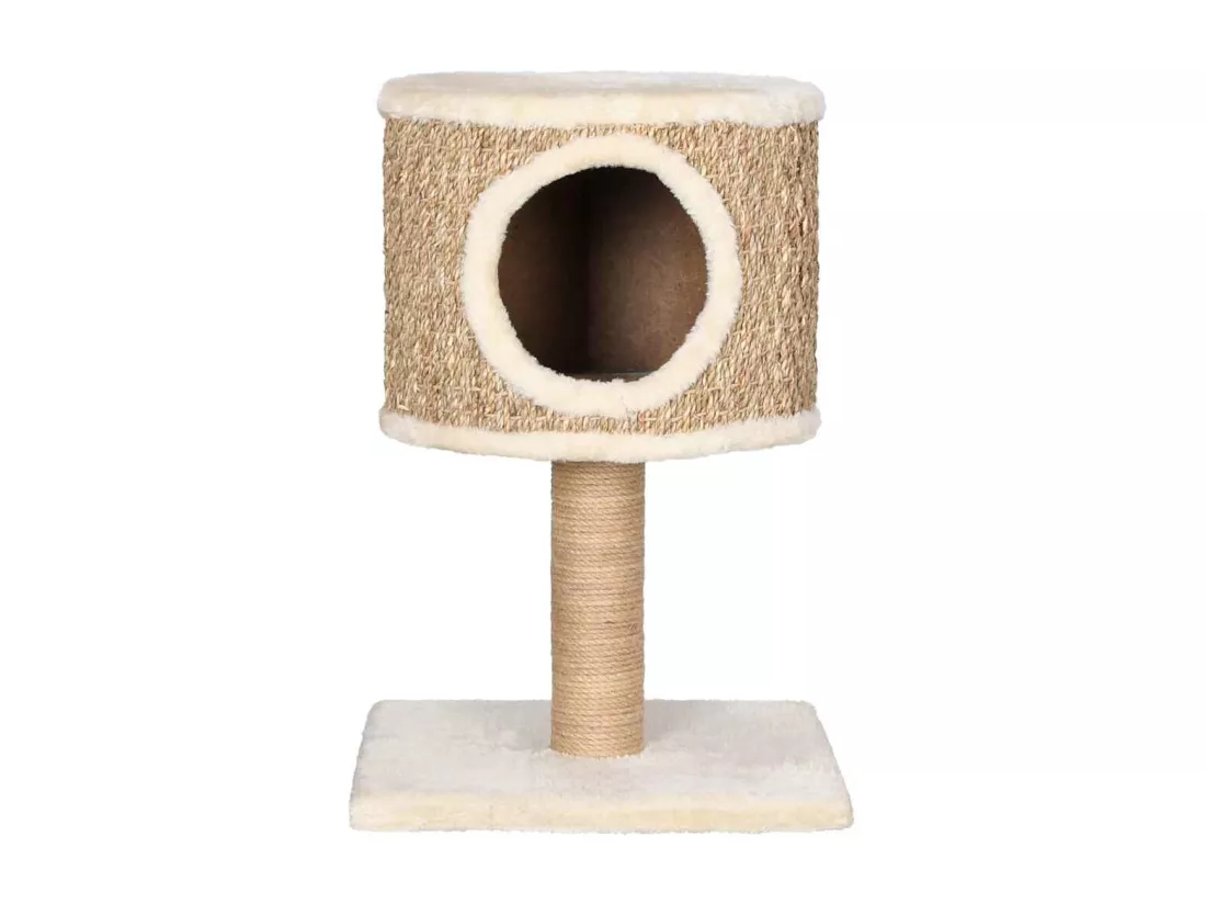Arbre à chat avec appartement et griffoir 52 cm Herbiers marins