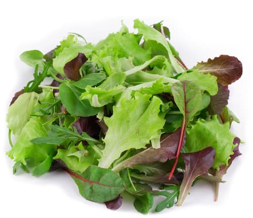 BIO Mixsalat, Schale