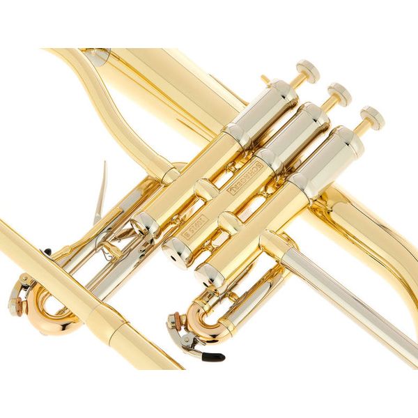 Schagerl Dione Flugelhorn
