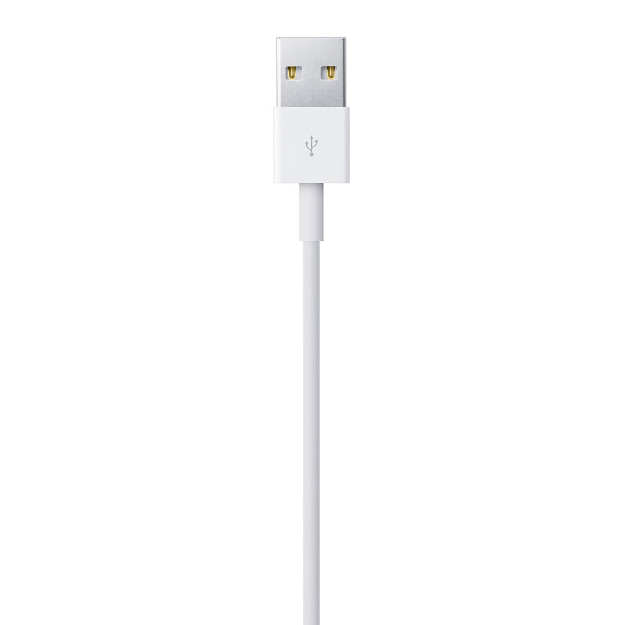 Apple Câble Lightning vers USB - 1 m (2024)