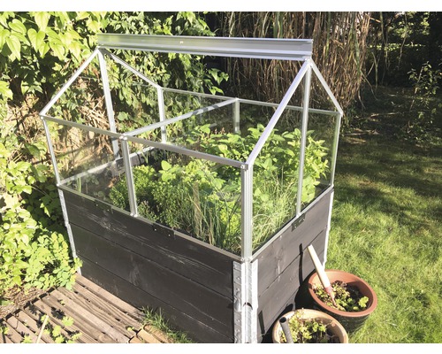 Vitavia Gaia Jumbo kweekkas, enkel veiligheidsglas, 120x80x72 cm
