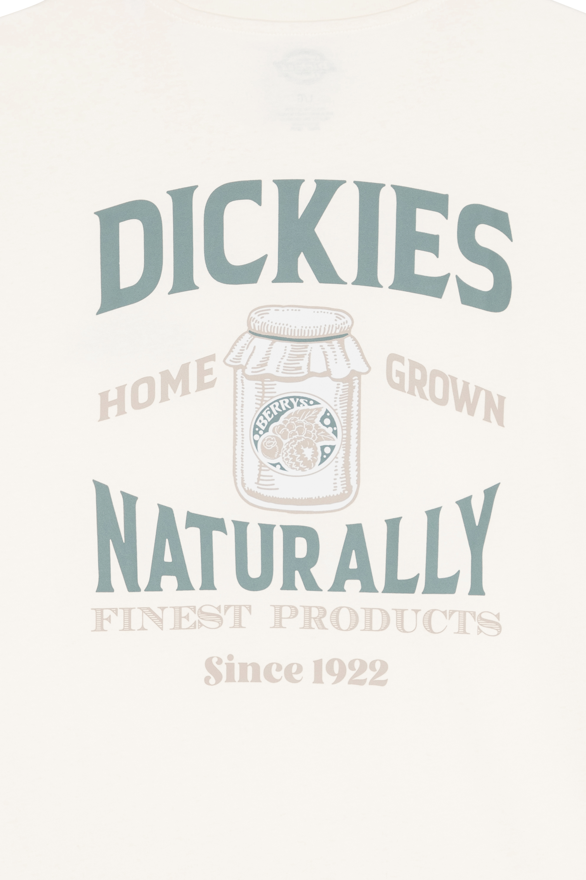 DICKIES T-shirt ELLISTON TEE SS Beige