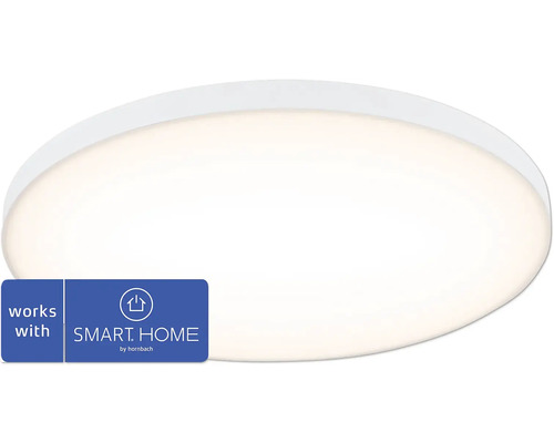Frameloos LED-paneel, Zigbee dimbaar, 25W, 2000 lm, 3000 K, RGBW-kleurverandering, Ø 40 cm, wit