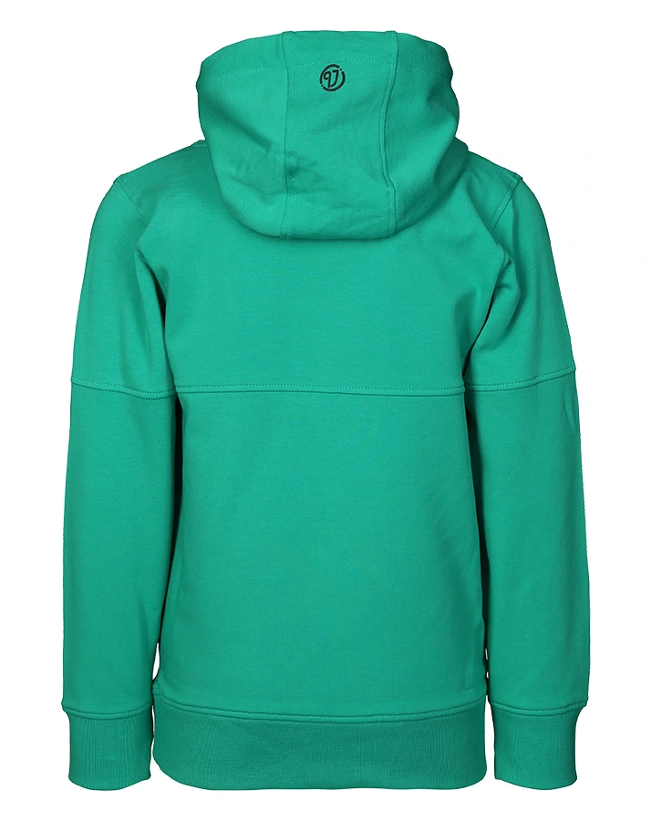 Kapuzen-Pullover BASIC in grün