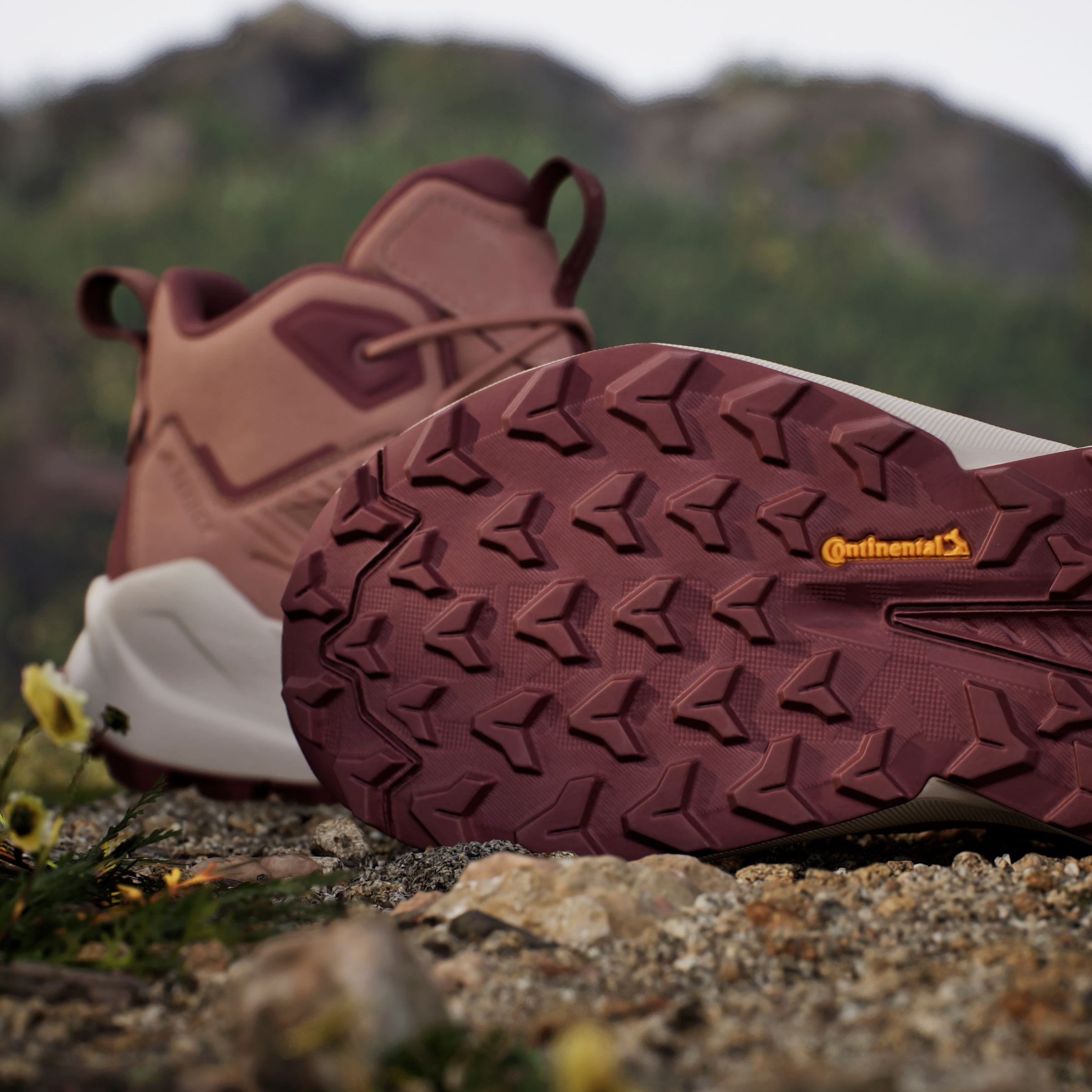 adidas TERREX Wanderschuh »TRAILMAKER 2.0 LEATHER«  aus Leder