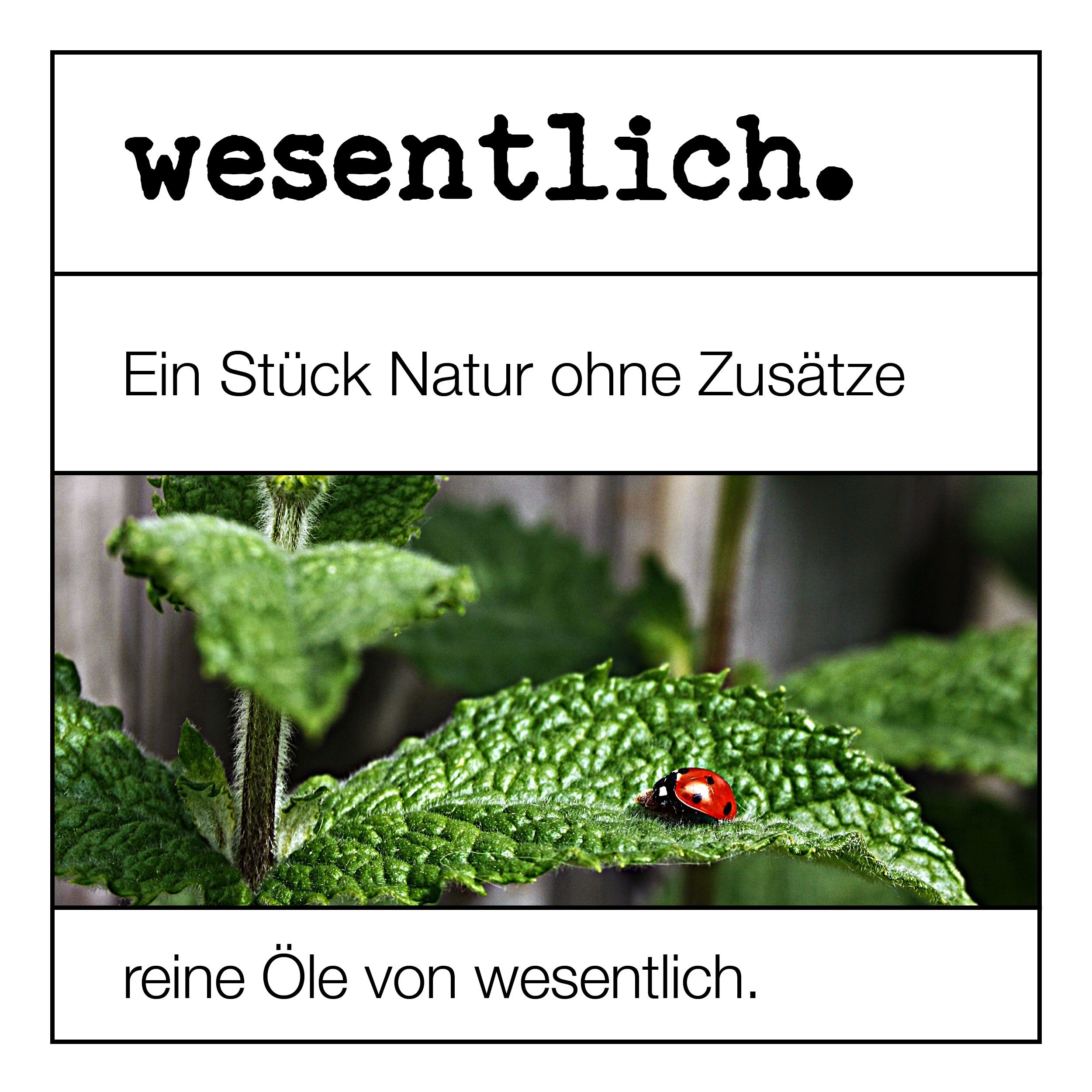 Lavendelöl - ätherisches Öl von wesentlich.