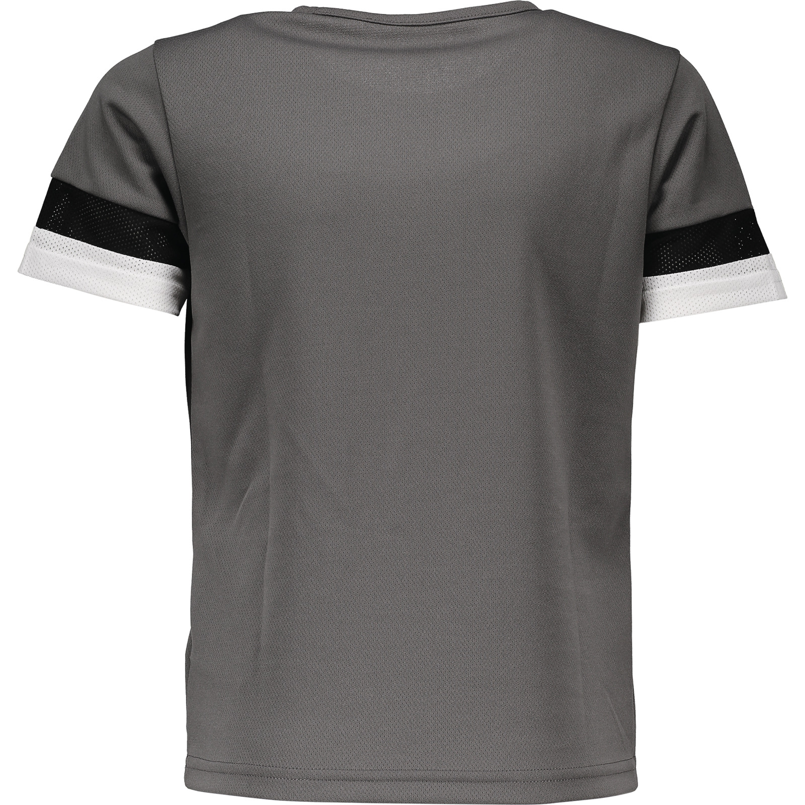 Puma Kinder-T-Shirt Team Rise grau