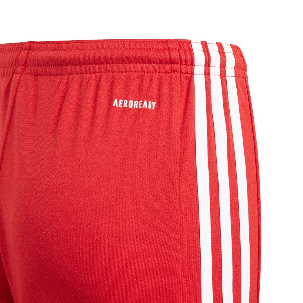 calções adidas Squadra 21