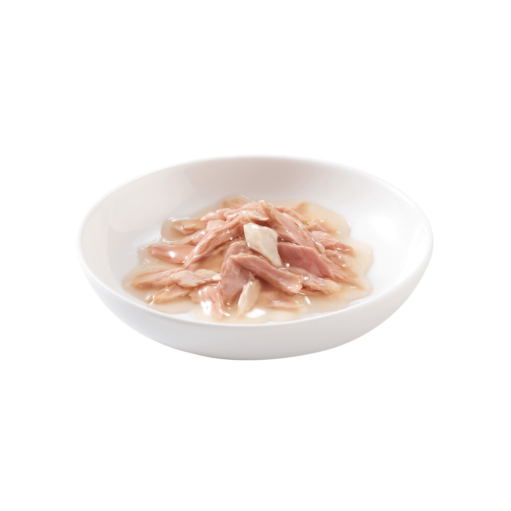 Schesir Kattenvoer Tonijn Zeebrasem in Saus70 gr