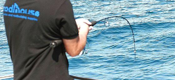 Blank TR86 Super Tuna-H 2.55m 30-100 Gr Tuna