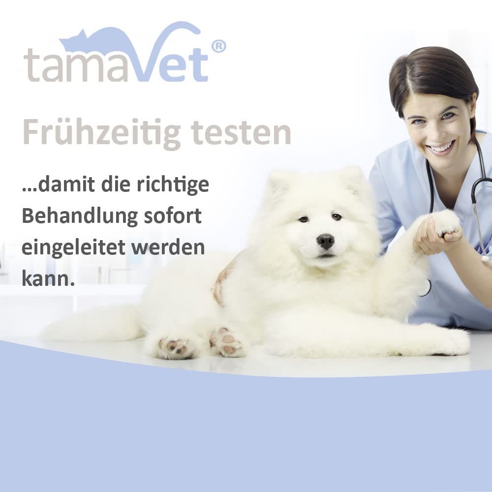 tamaVet Giardien Schnelltest für Hunde und Katzen