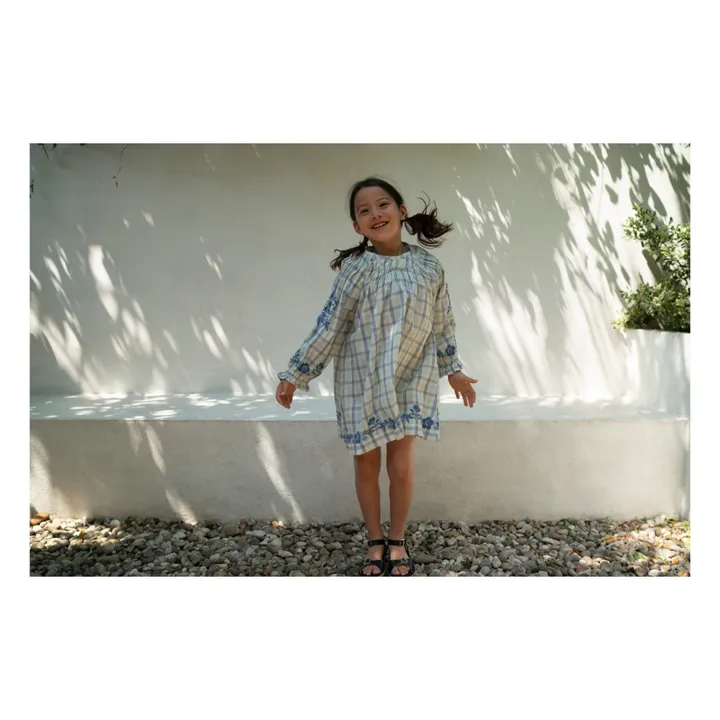 Lali Robe Tulip à Carreaux Brodée  | Bleu