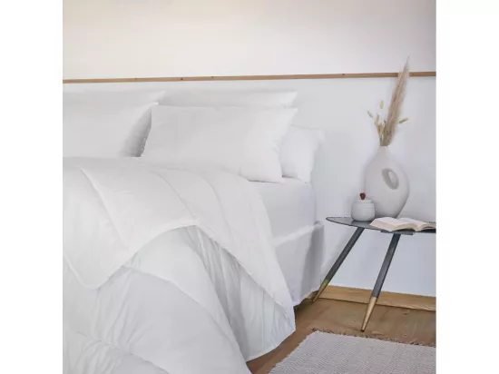 SOFTLINE - Traversin Coton anti-acariens 160 x 40 cm