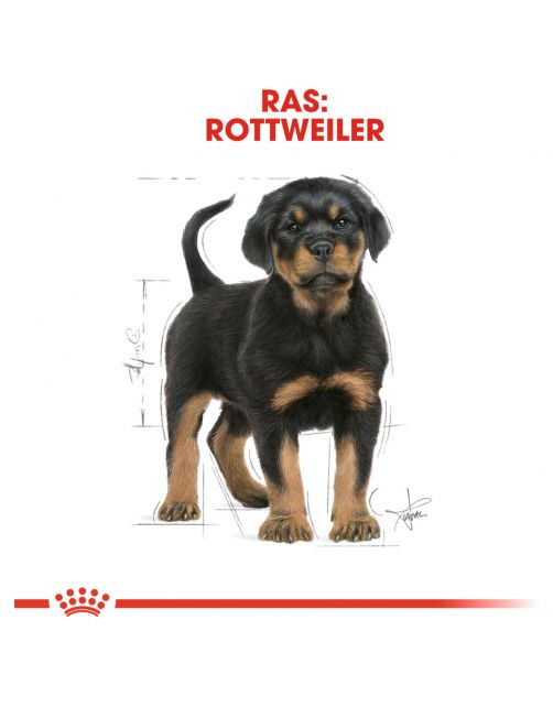 Royal Canin Rottweiler - Puppy-Hondenvoer - 12 kg