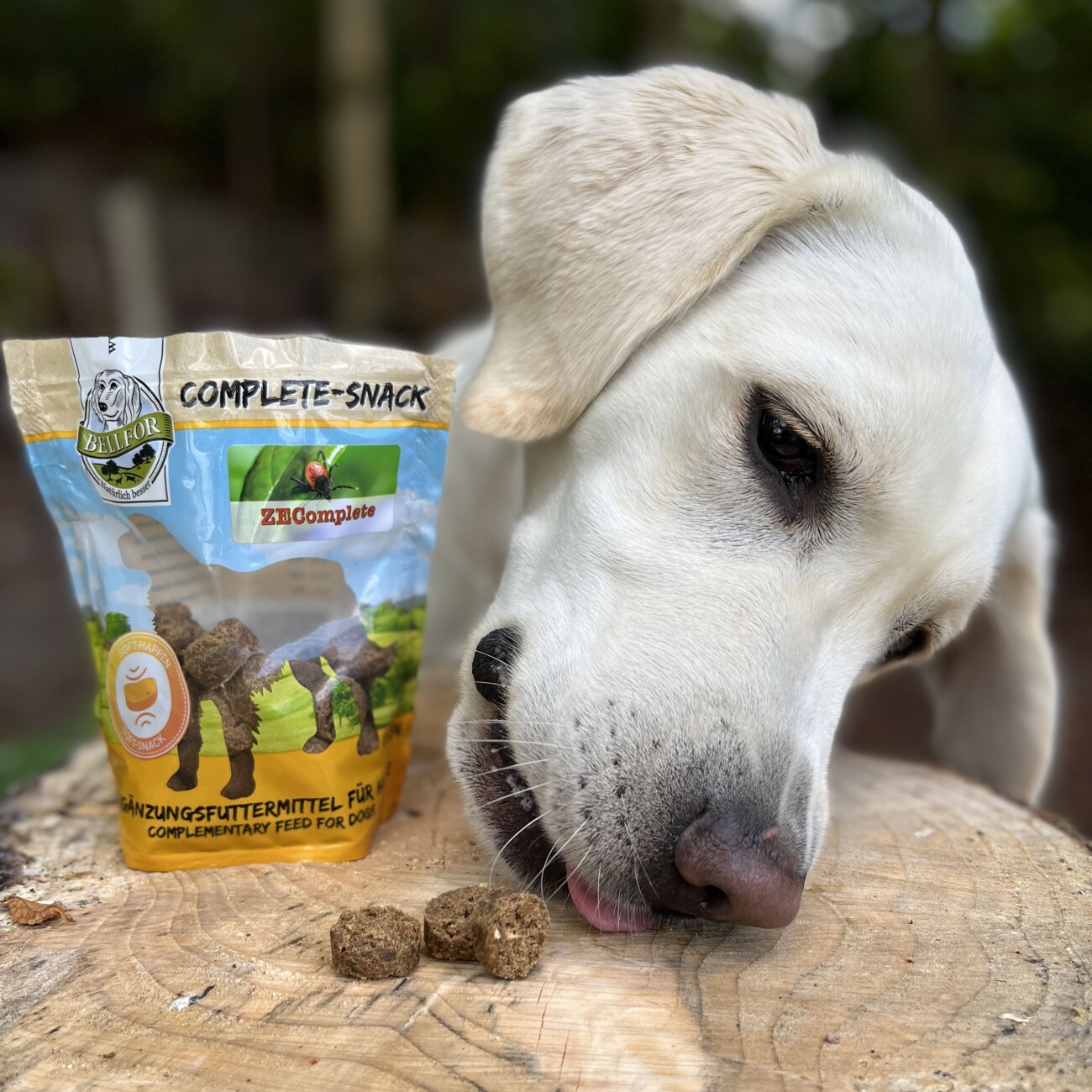 Bellfor Complete-Snack ZEComplete Set für Hunde - 3x150g