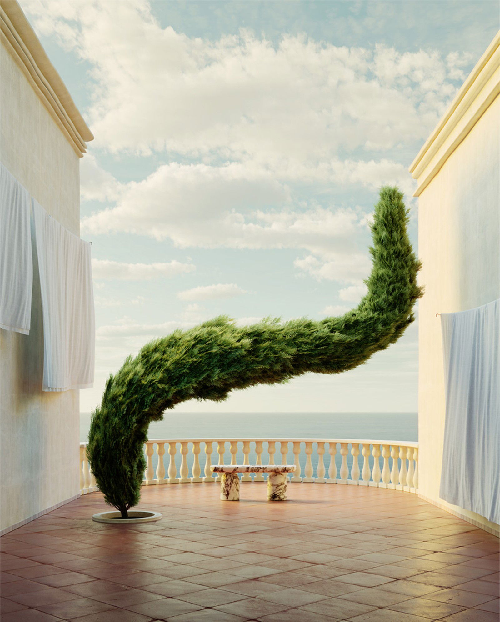 Cypress by Massimo Colonna - Limited Edition. Edition of: 150. Signed.