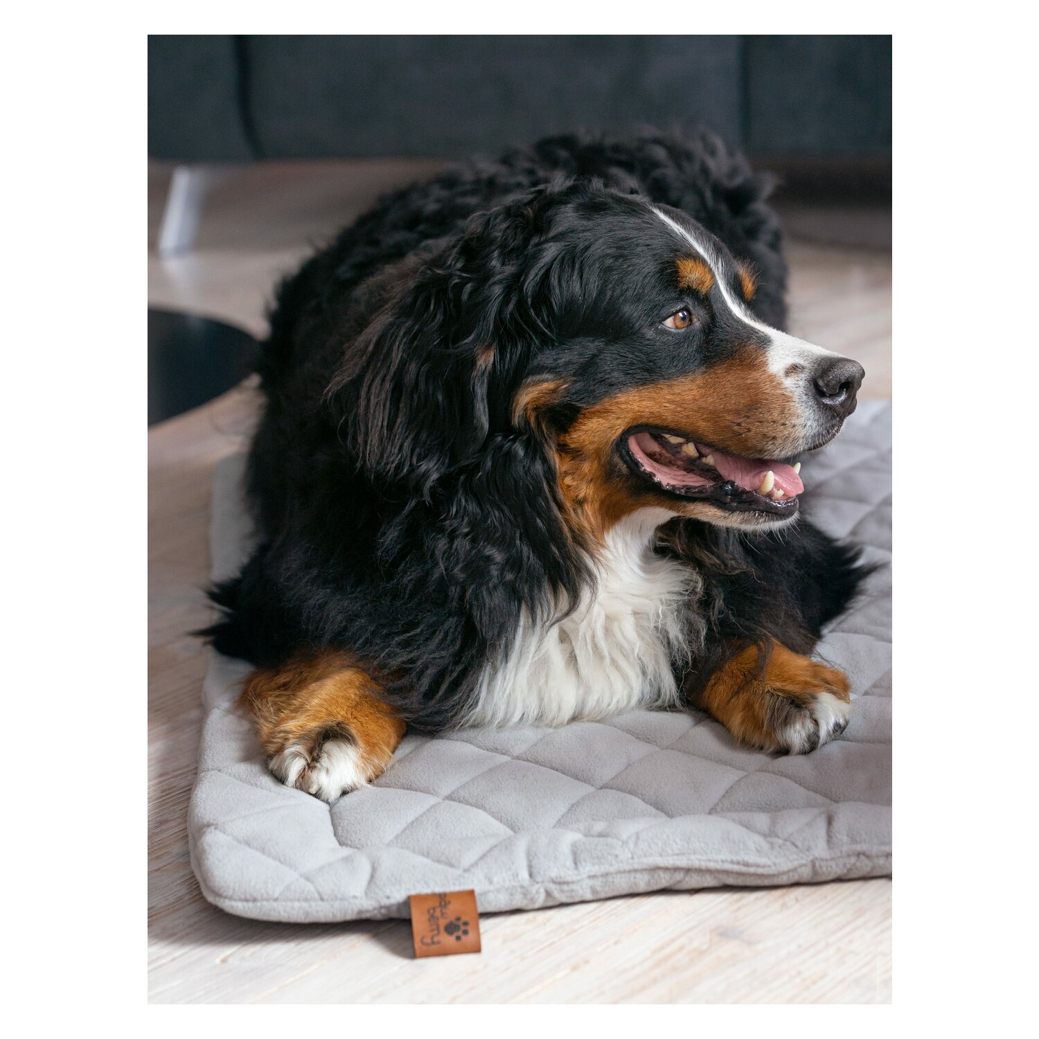 pawberry Hundeplatzdecke Fleece  - lightgrey