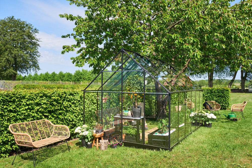 Halls Qube 812 - Tuinkas - zwart - 246x261x385 cm - Veiligheidsglas