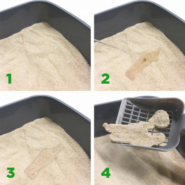Litière végétale CatLitter Almo Nature pour chat