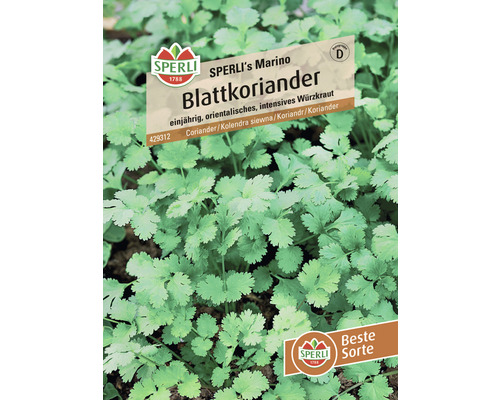 Koriander Sperli kruidenzaden