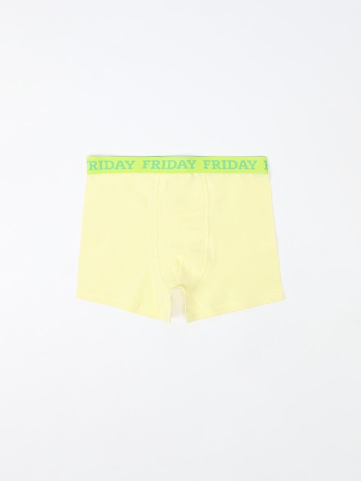 Pacote com 7 cuecas boxer para os dias da semana - Variadas