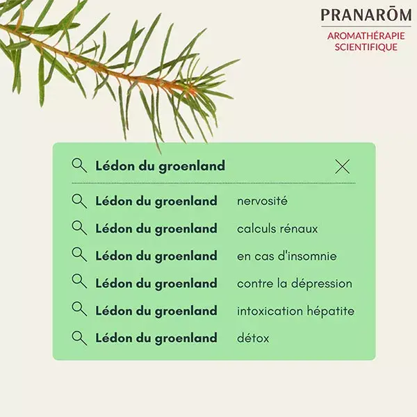 Pranarom Huile Essentielle Bio Lédon du Groenland 5ml