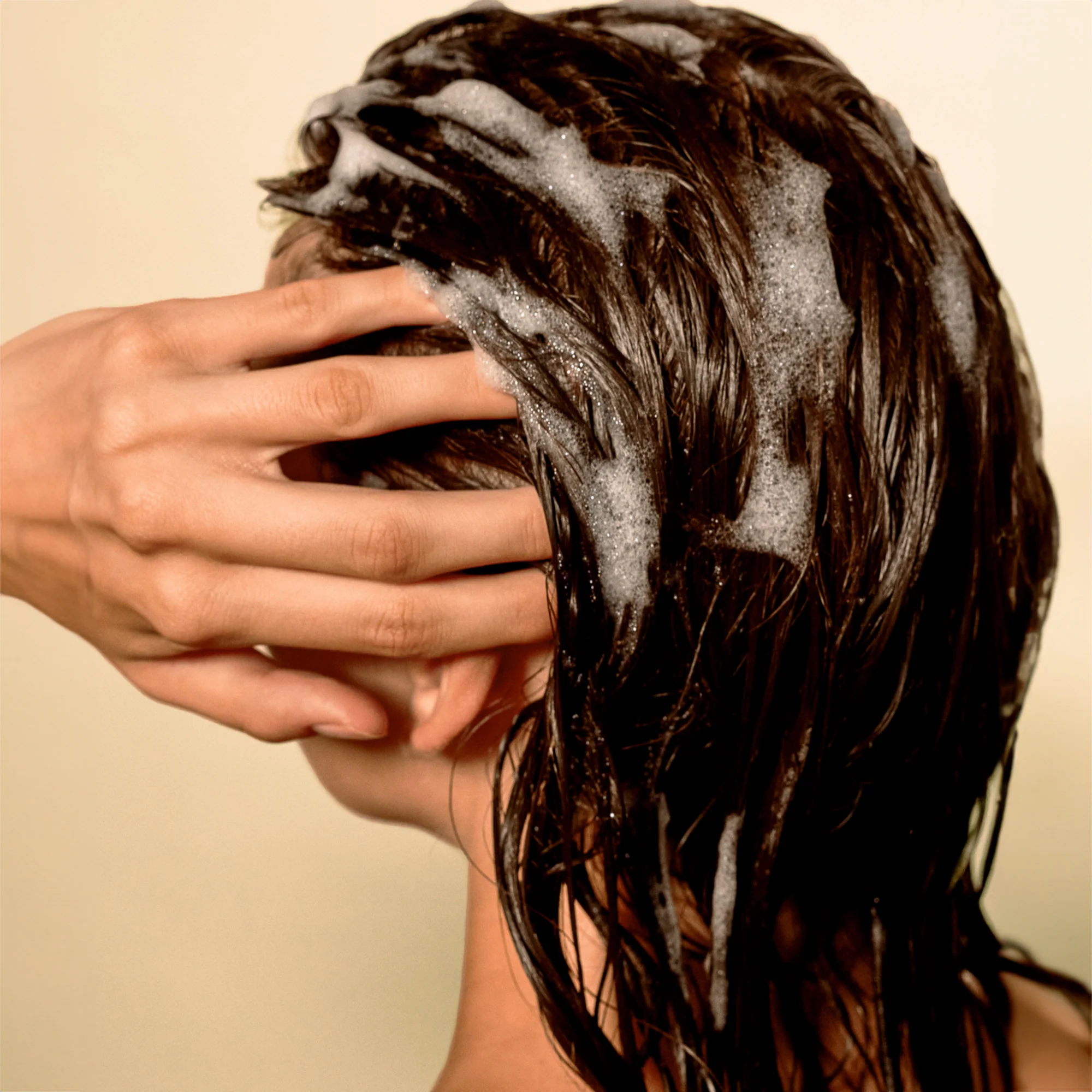 Ceremonia Shampoing Cheveux Fins Weightless Hydration Champú de Yucca