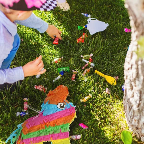 Pinata-esel