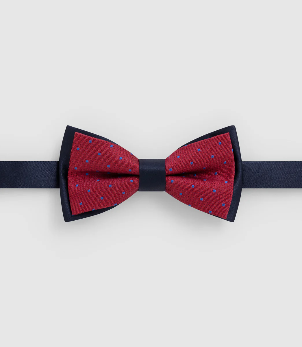Nœud papillon bordeaux 