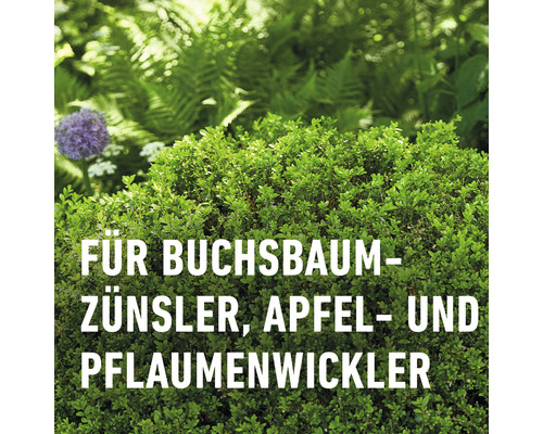 Universele trechterval COMPO BIO 6x1 beschermt buxus-, pruimen-, appel- of perenbomen. Feromoonlokstoffen apart verkrijgbaar.