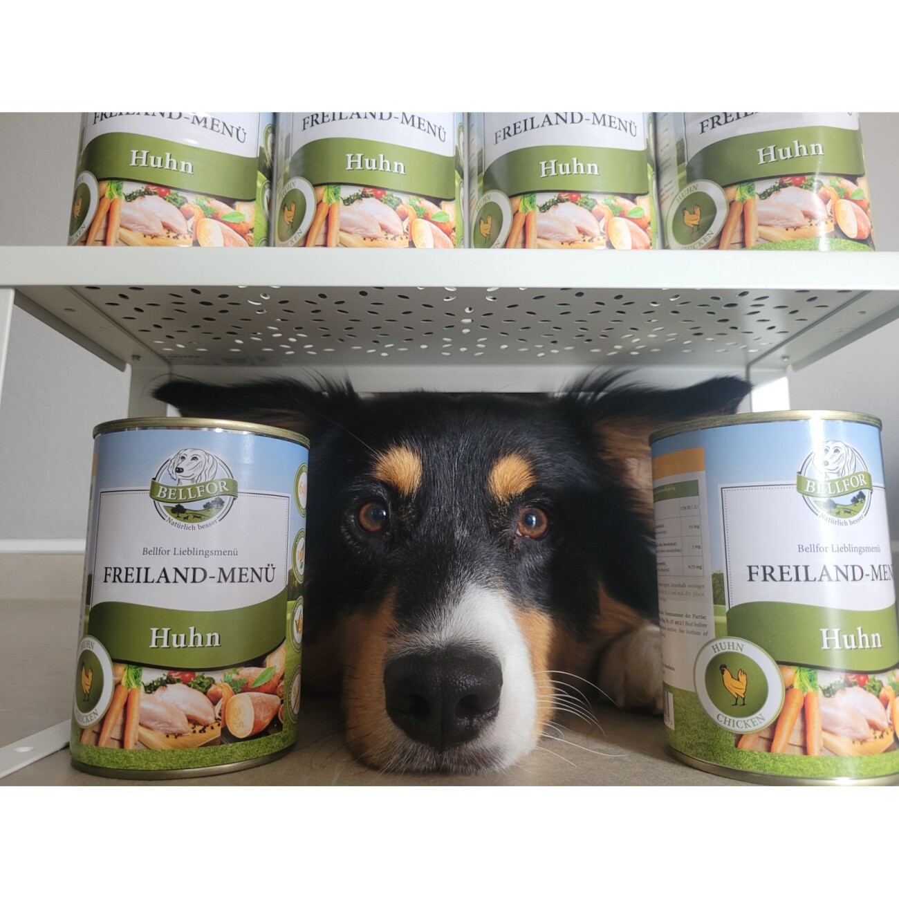 Bellfor Hundefutter Nass mit Huhn - Getreidefrei - Freiland-Menü - 6x800 g