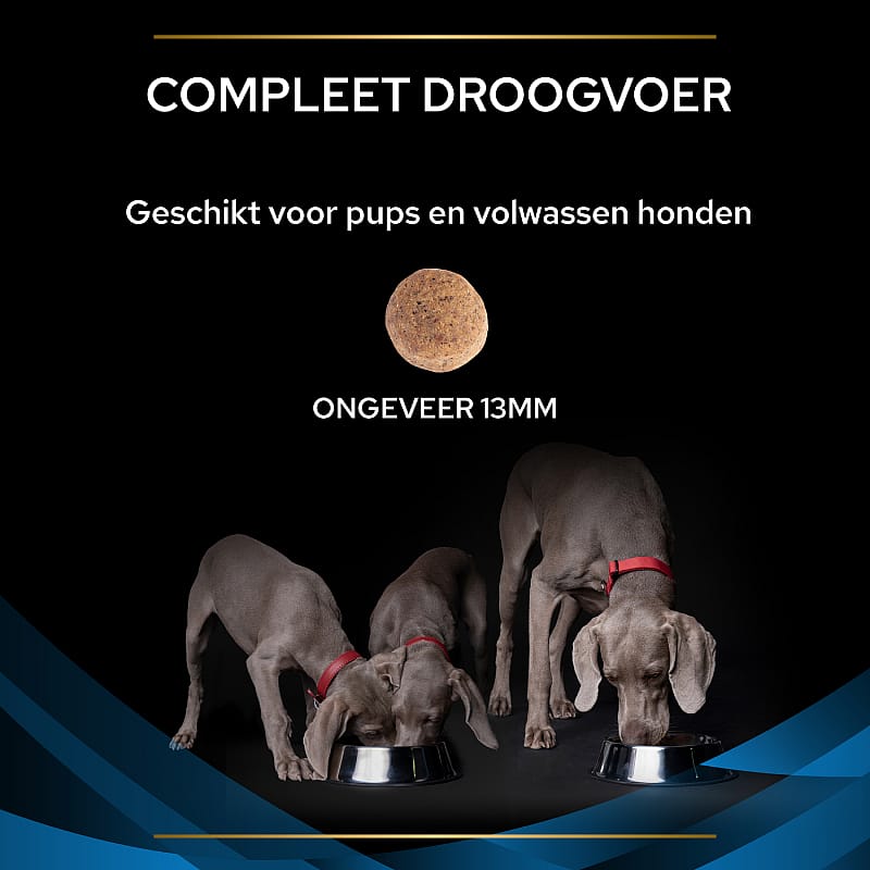 Purina Pro Plan Veterinary Diets Canine DRM Dermatosis Hondenvoer | 12 kg | 10889.1