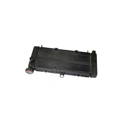 Radiateur Brazoline A EAU ADAPTABLE
