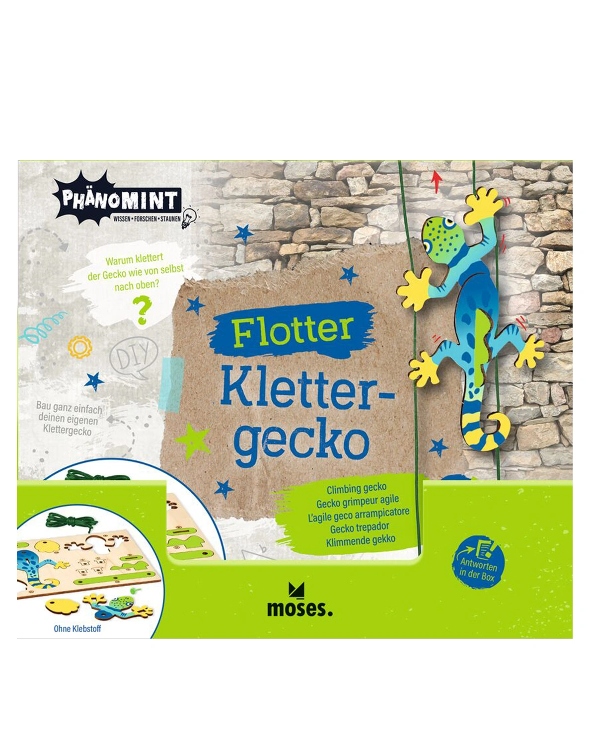 Holzbausatz PHÄNOMINT - KLETTERGECKO