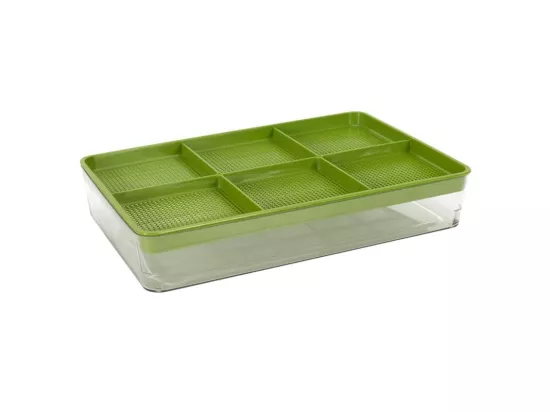 Plateau de Germination 
