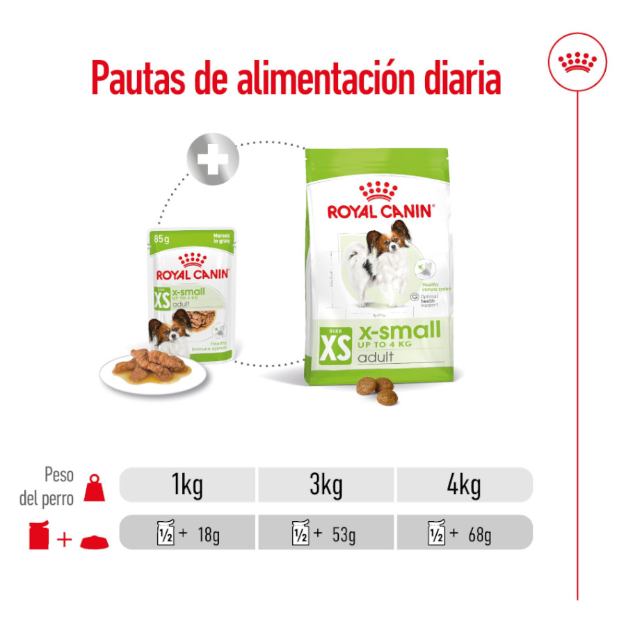 Sachês Royal Canin X-Small Adult em molho para cães