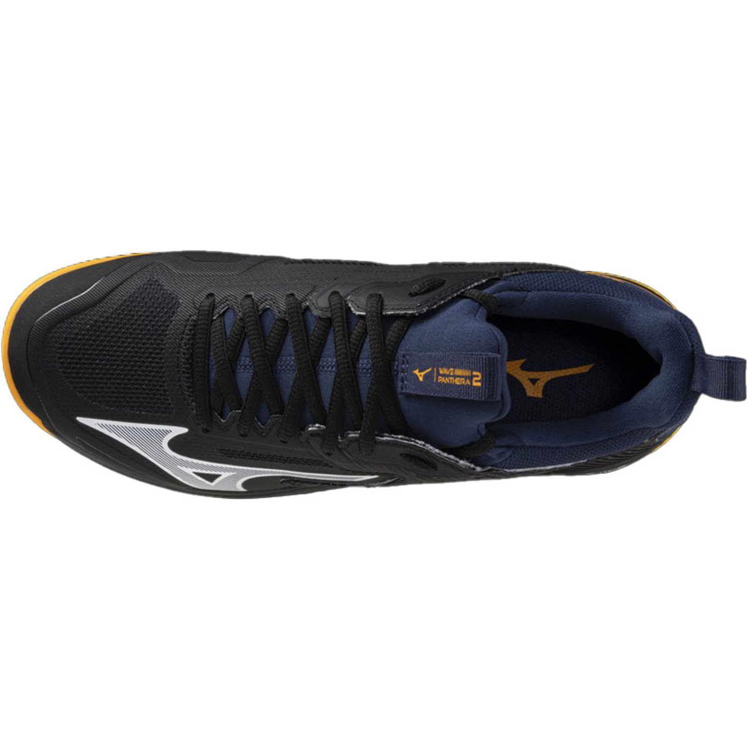Mizuno Wave Panthera