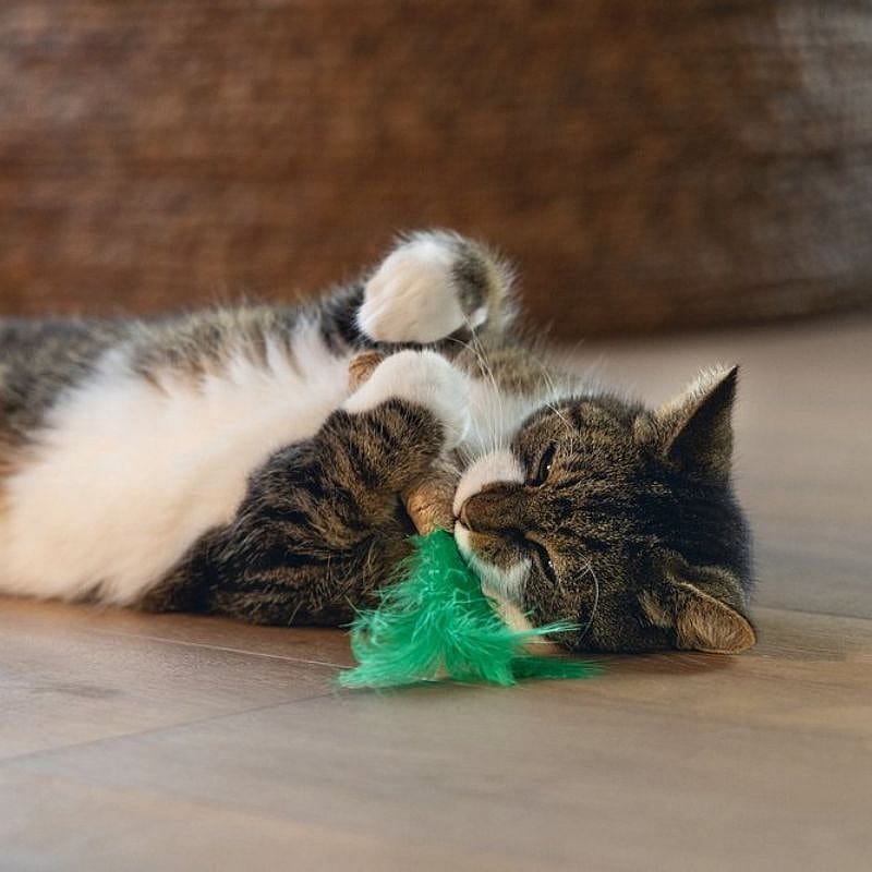 Beeztees Jungle Palmboom Pluche Kat | 15822