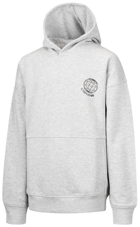 CygnusBW HOODY - grau