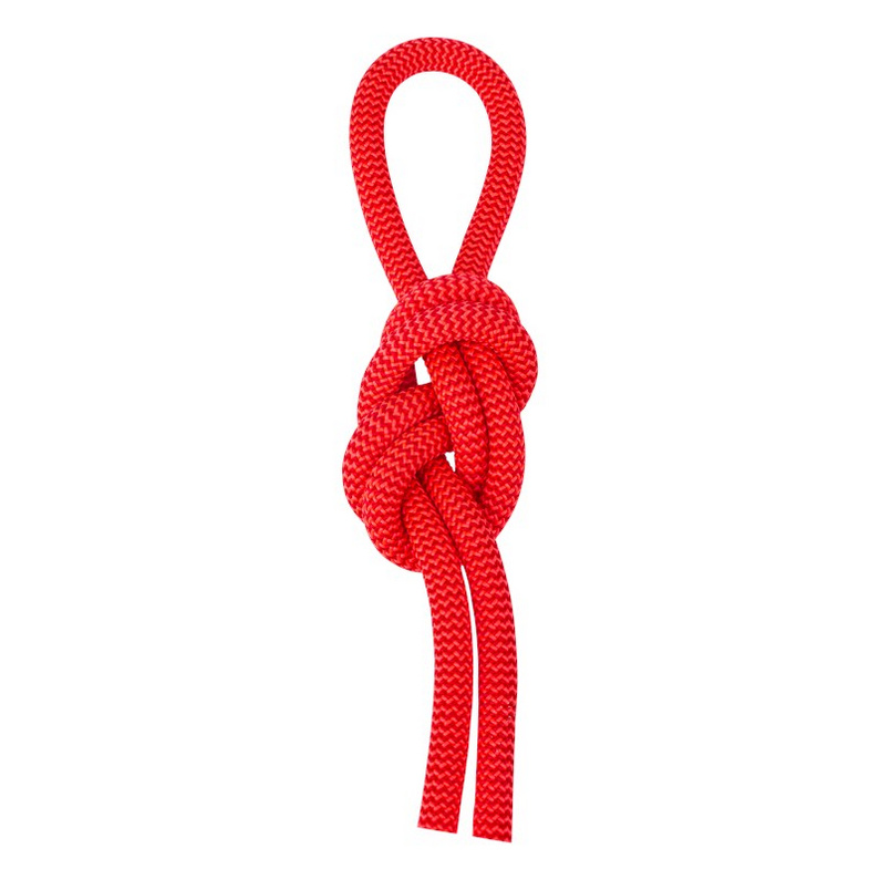 Salewa Red 9.6 Kletterseil