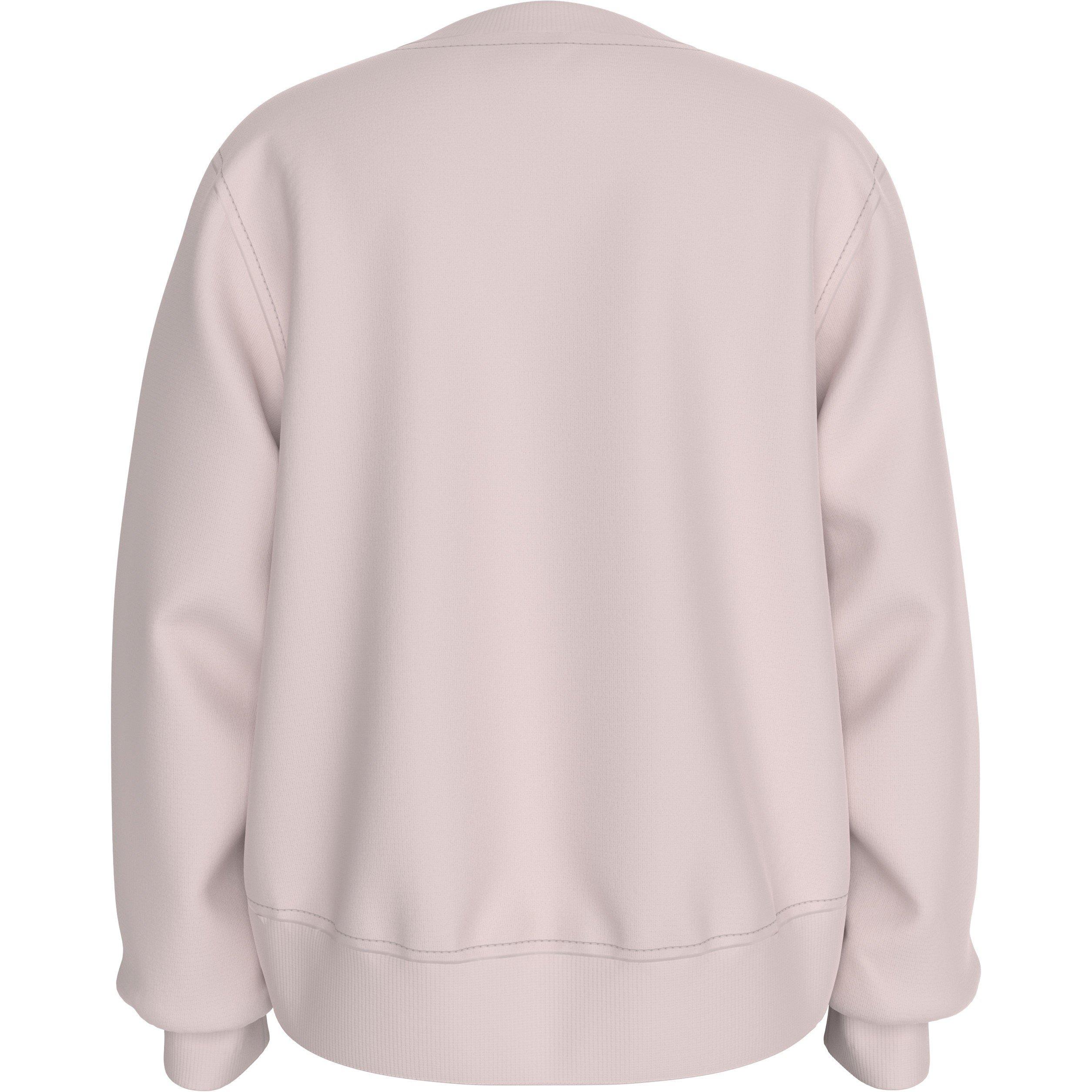 Calvin Klein Jeans CKJ Lgo Sweatshirt Jn44
