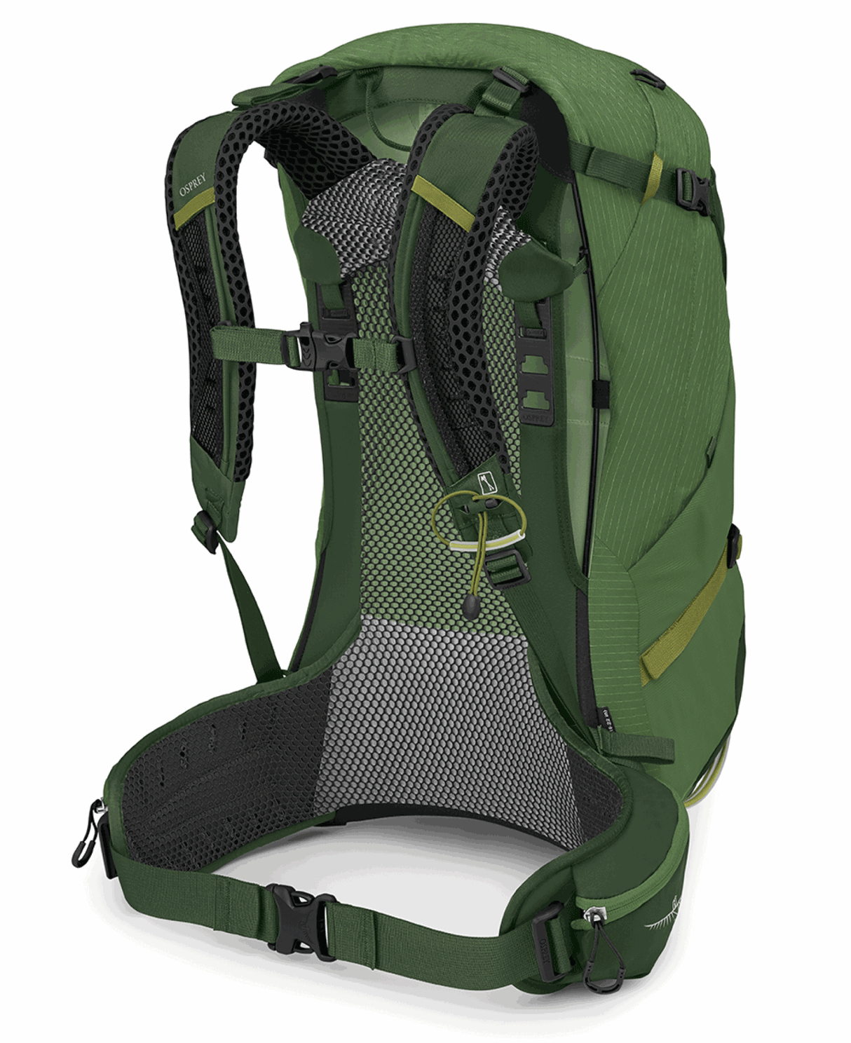 Osprey<br>Stratos 34