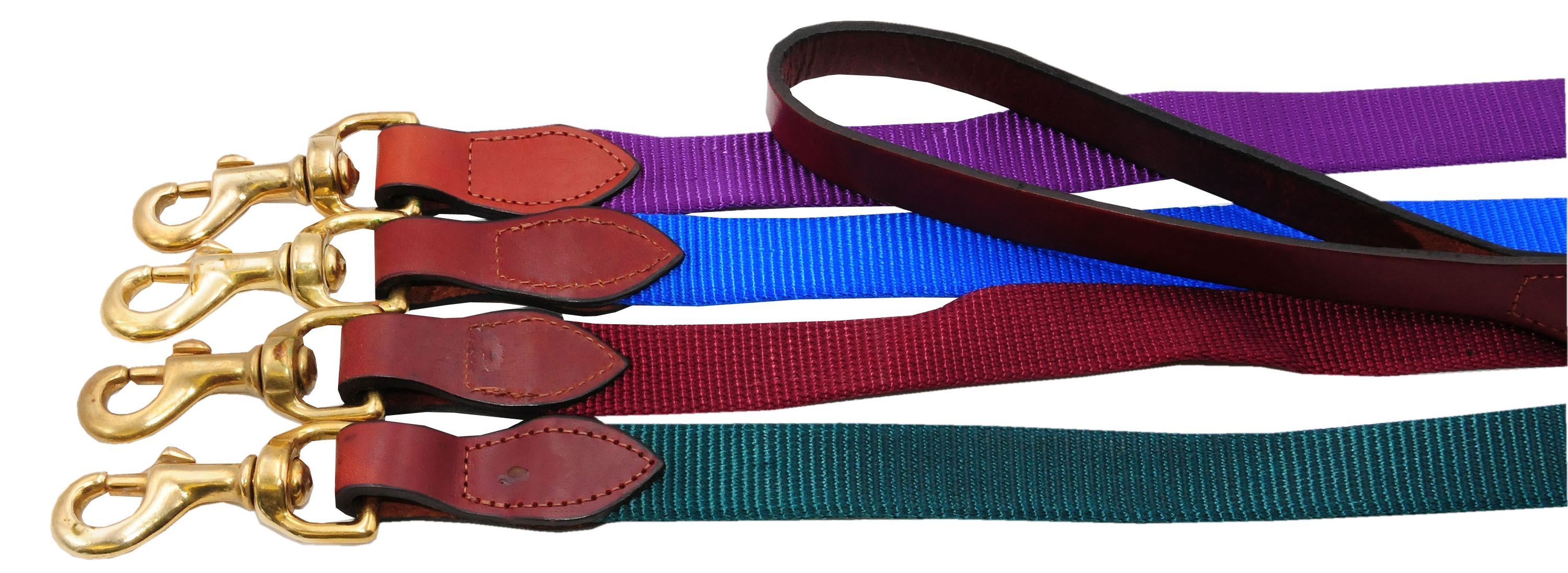 Weaver Hundeleine Prism Accent