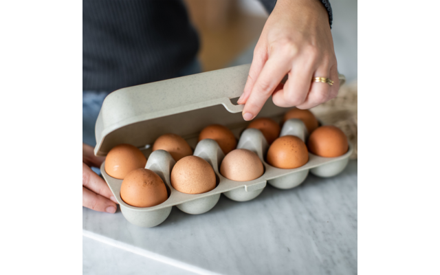 Koziol Eggs to go Eierbox für 10 Eier