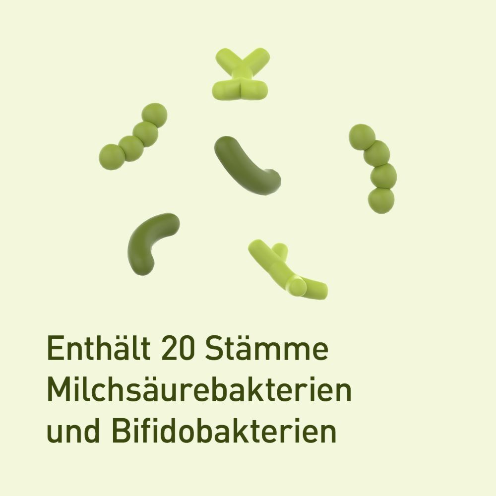 nupure probaflor plus - Hoch dosiert mit breitem Bakterienspektrum