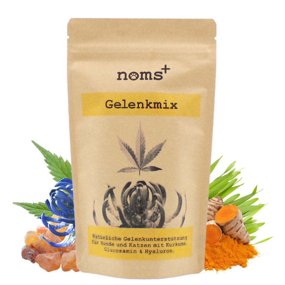 noms+ Gelenkmix für Hunde & Katzen mit Teufelskralle, Kurkuma & Glucosamin