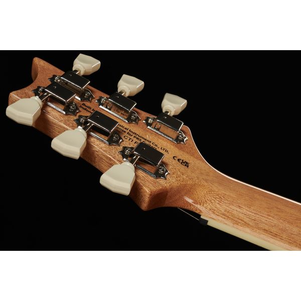 PRS 70th SE McCarty 594 Quilt BO