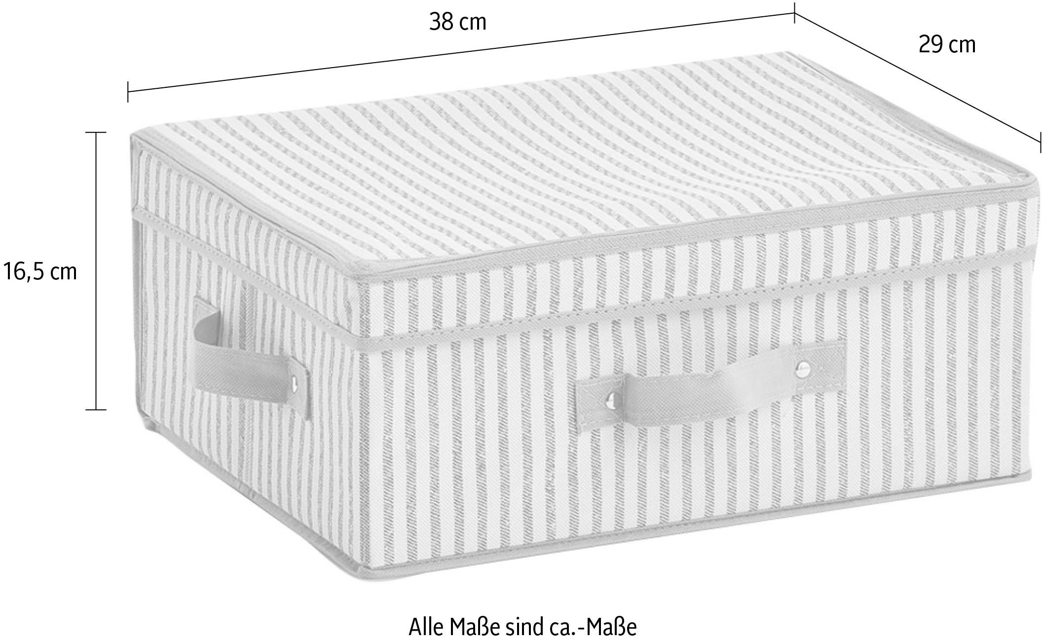 Zeller Present Aufbewahrungsbox »Stripes« Vlies, beige