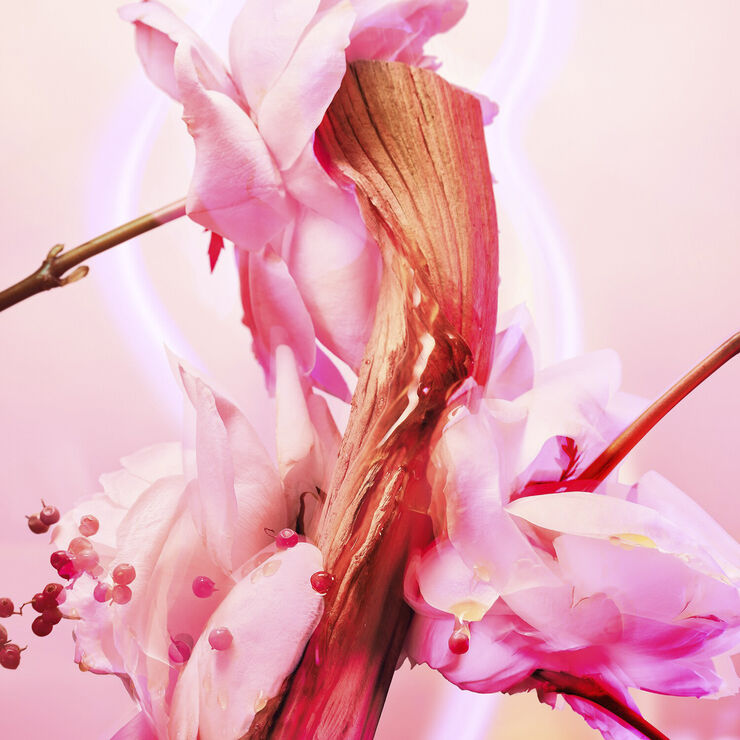 Charlotte Tilbury Love Frequency - Fragrance Collection of Emotions