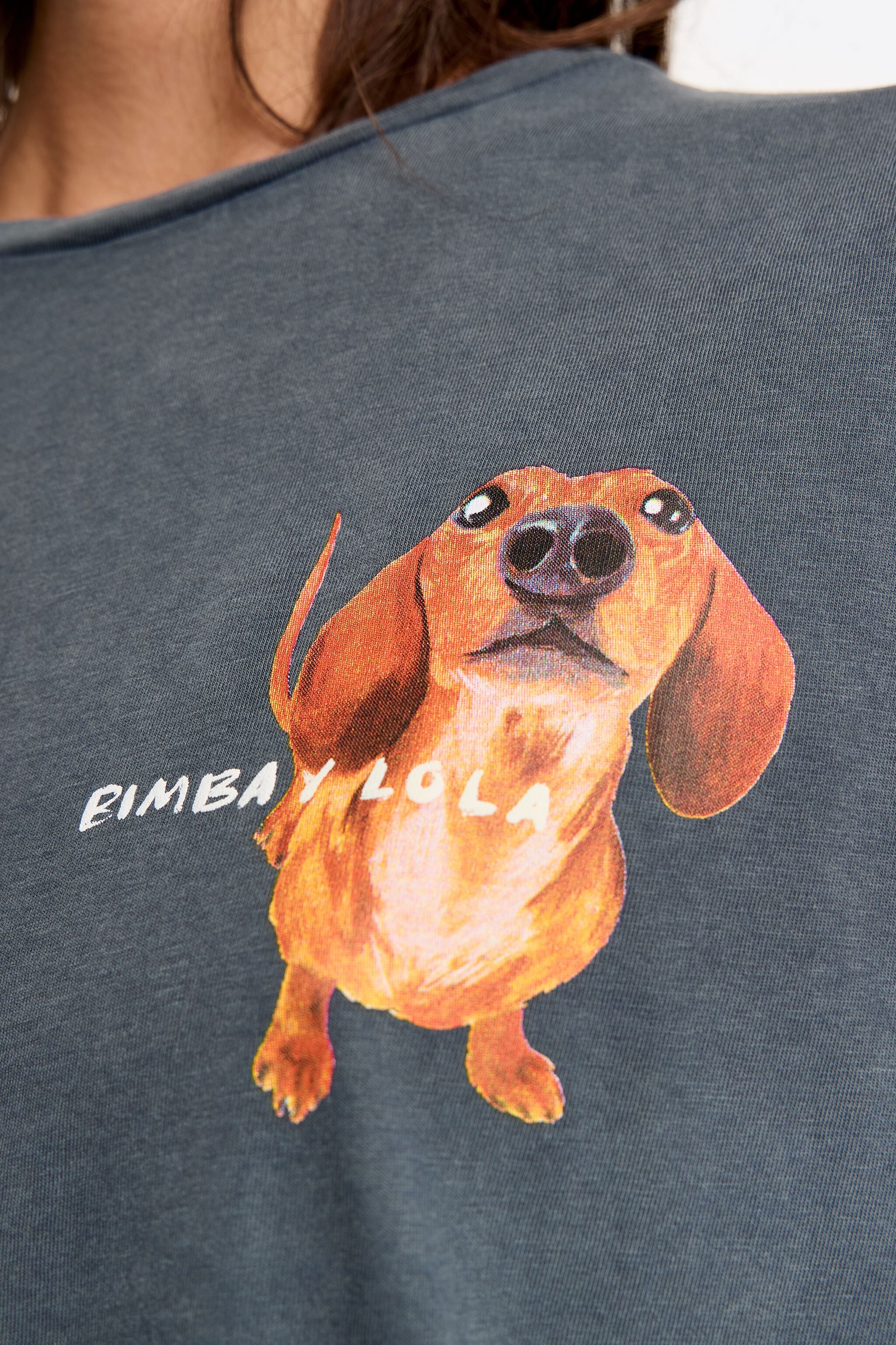Camiseta com o logo de um dachshund em tons de cinza e azul